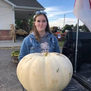 Meet your Posher, Madison